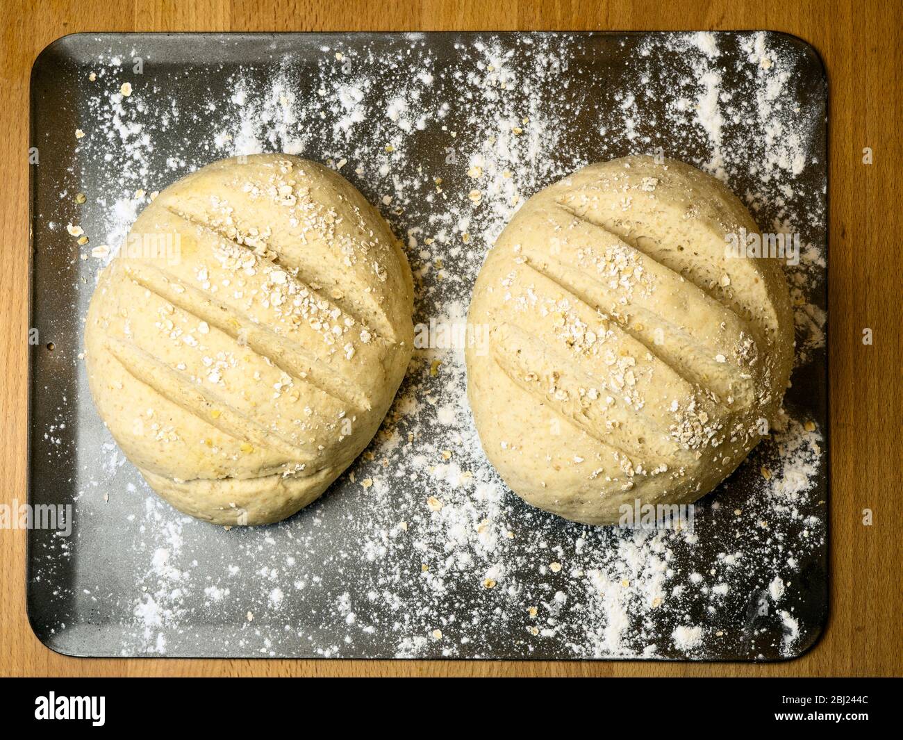 Two proved oat bread loaves ready for baking on a floured baking sheet Stock Photo