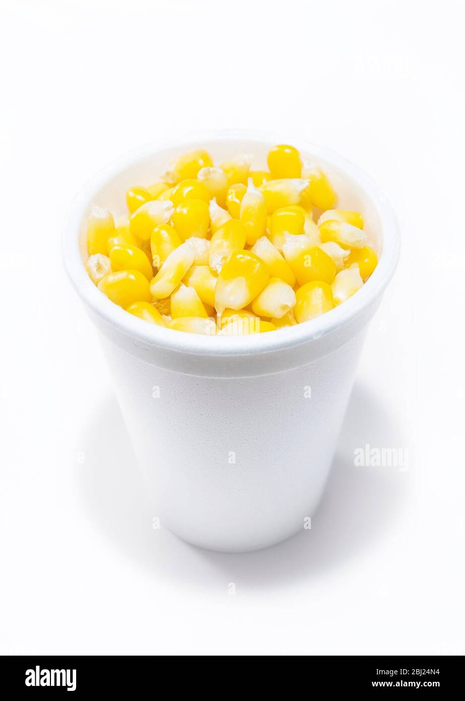 Boiled corn seed in a white cup isolated Stock Photo Alamy