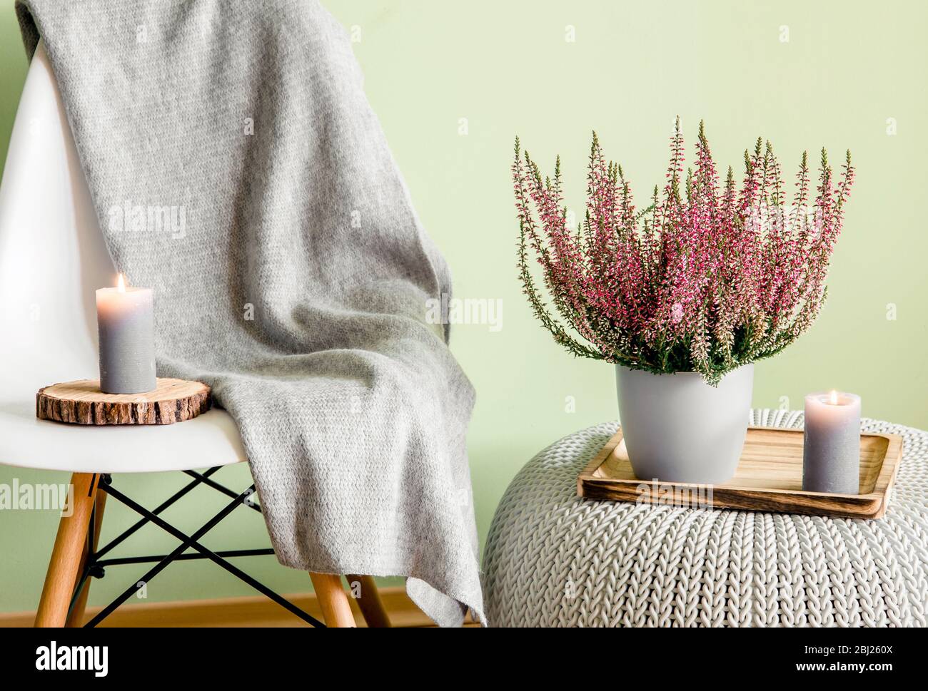 Common pink heather, Calluna vulgaris, ling flower in white pot with gray cozy plaid. Cozy autumn living space concept. Candlelight flame. Stock Photo