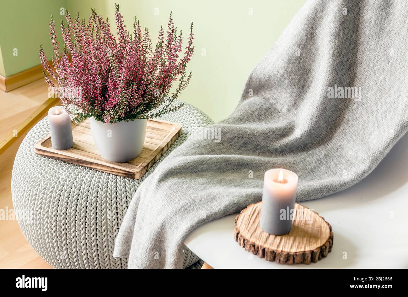 Common pink heather, Calluna vulgaris, ling flower in white pot with gray cozy plaid. Cozy autumn living space concept. Candlelight flame. Stock Photo