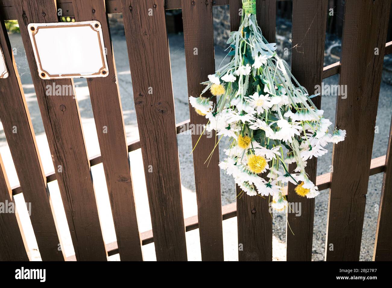 Dry flower with wooden fence at Tihany old village in Hungary Stock