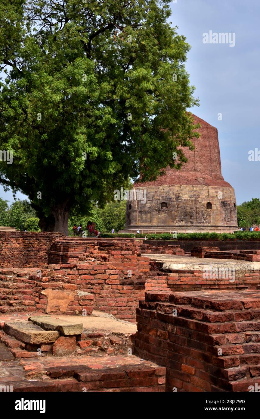 Ruins of Sarnath Stupa in Uttar Pradesh. Stock Photo