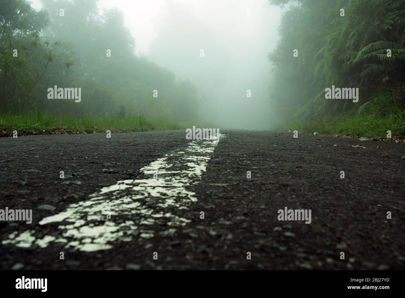 Misty lonely road scene hi-res stock photography and images - Alamy