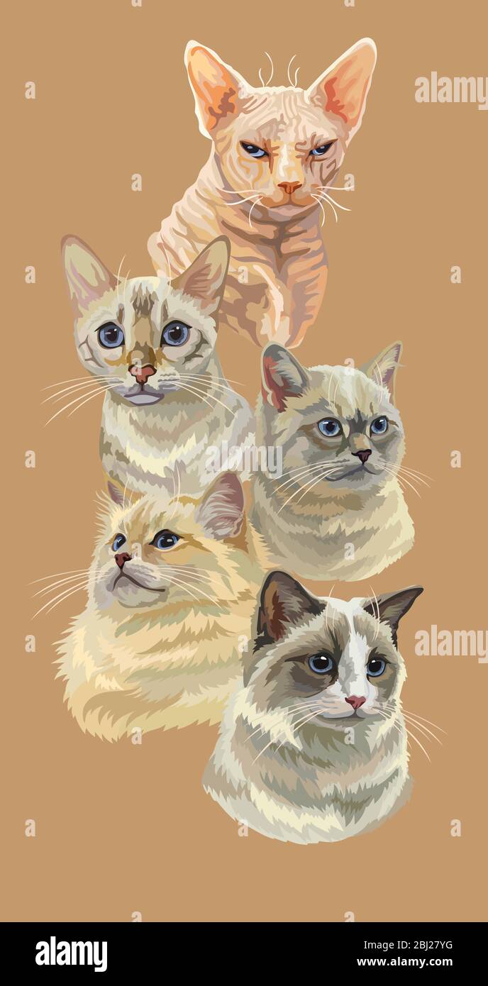 Vector vertical poster with different cats breeds portraits isolated on beige background. Cats vector vintage illustration in realistic style.Image fo Stock Vector