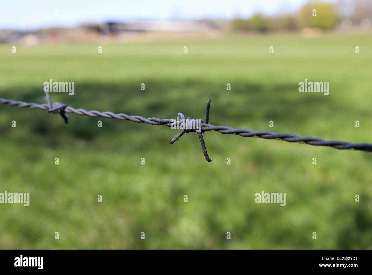 Close up view on barbed wire on a field with a soft bokeh in the background Stock Photo