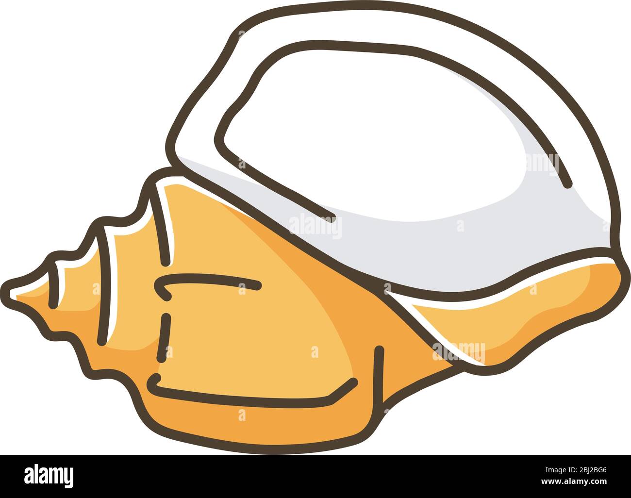 Large Triton Shell High Resolution Stock Photography and Images - Alamy