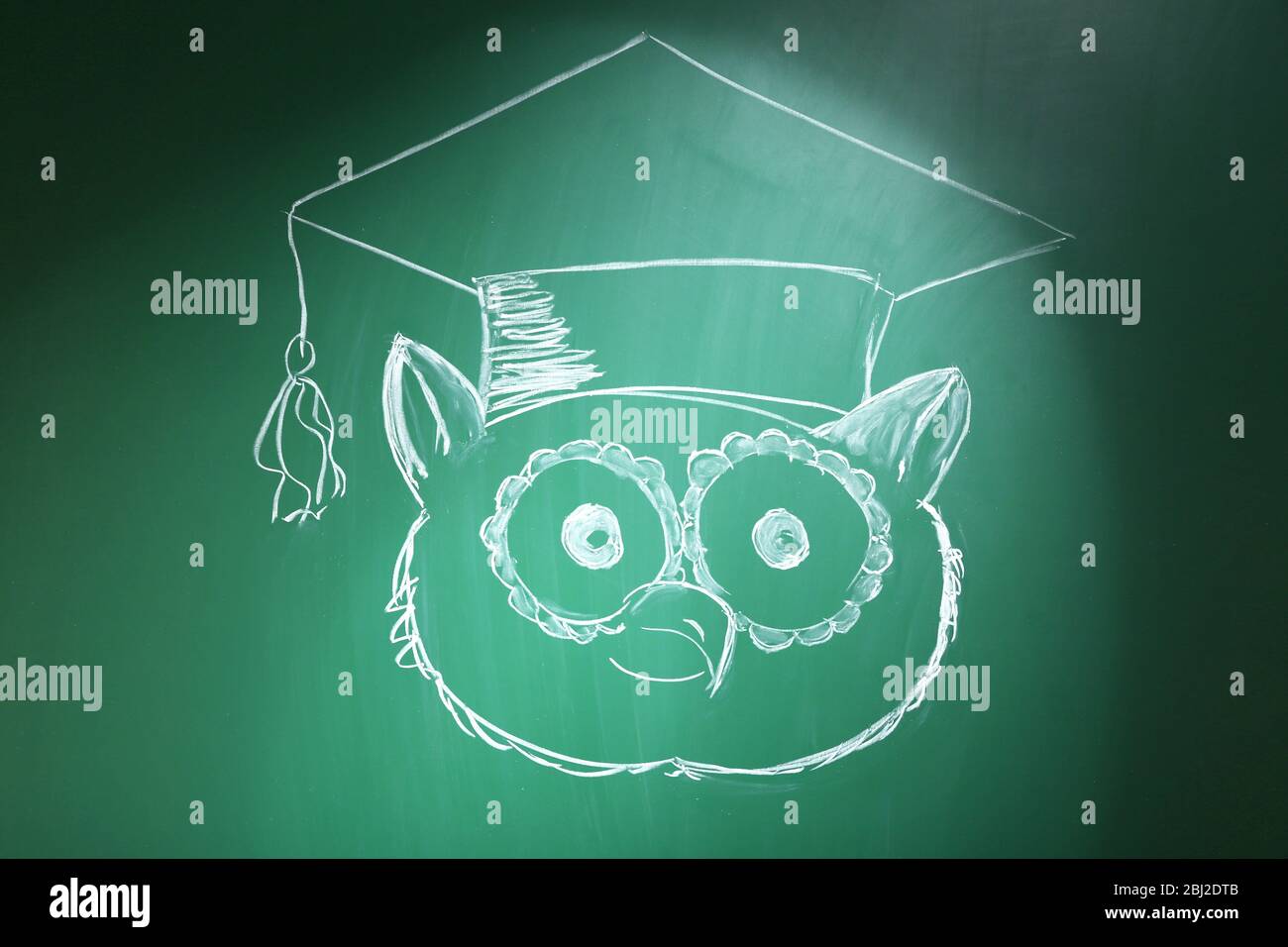 Owl in bachelor hat drawing on blackboard background Stock Photo