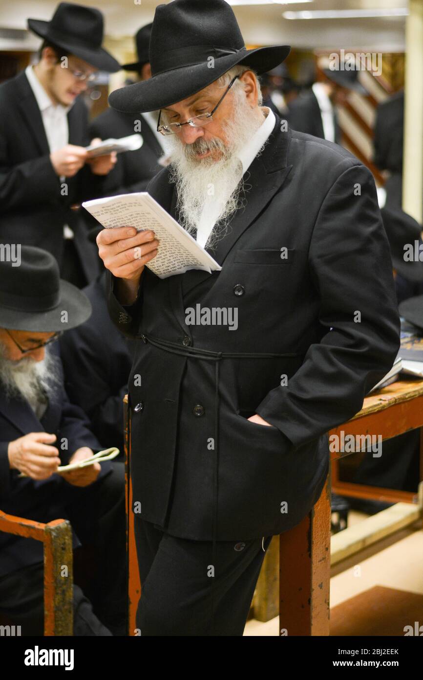 An orthodox rabbi reads special Tisha B'Av prayers in a synagogue in Brooklyn, New York City. Stock Photo