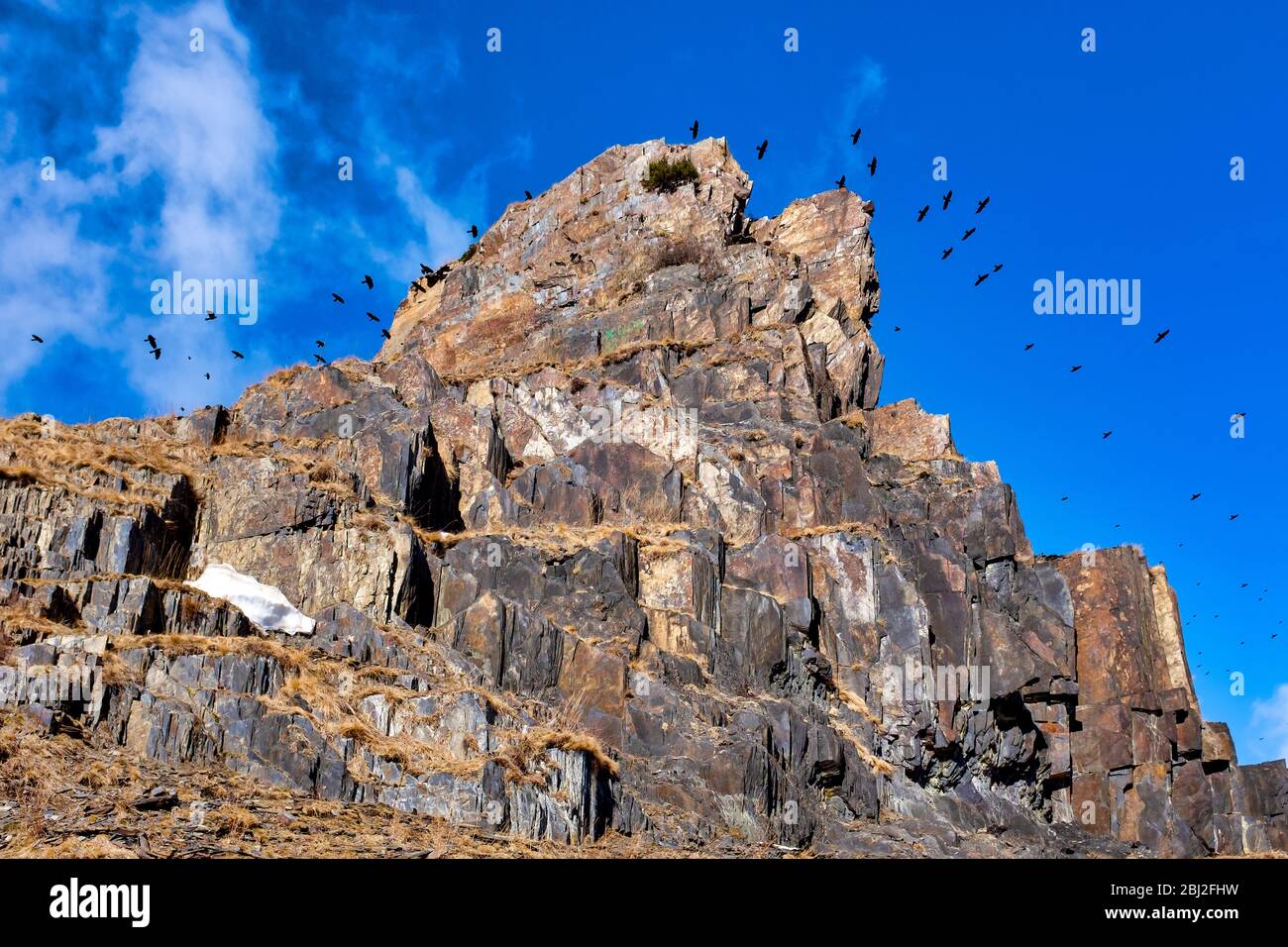 Jurassic age shale rocks formation in the Eastern Greater Caucasus, Stepantsminda, Georgia Stock Photo