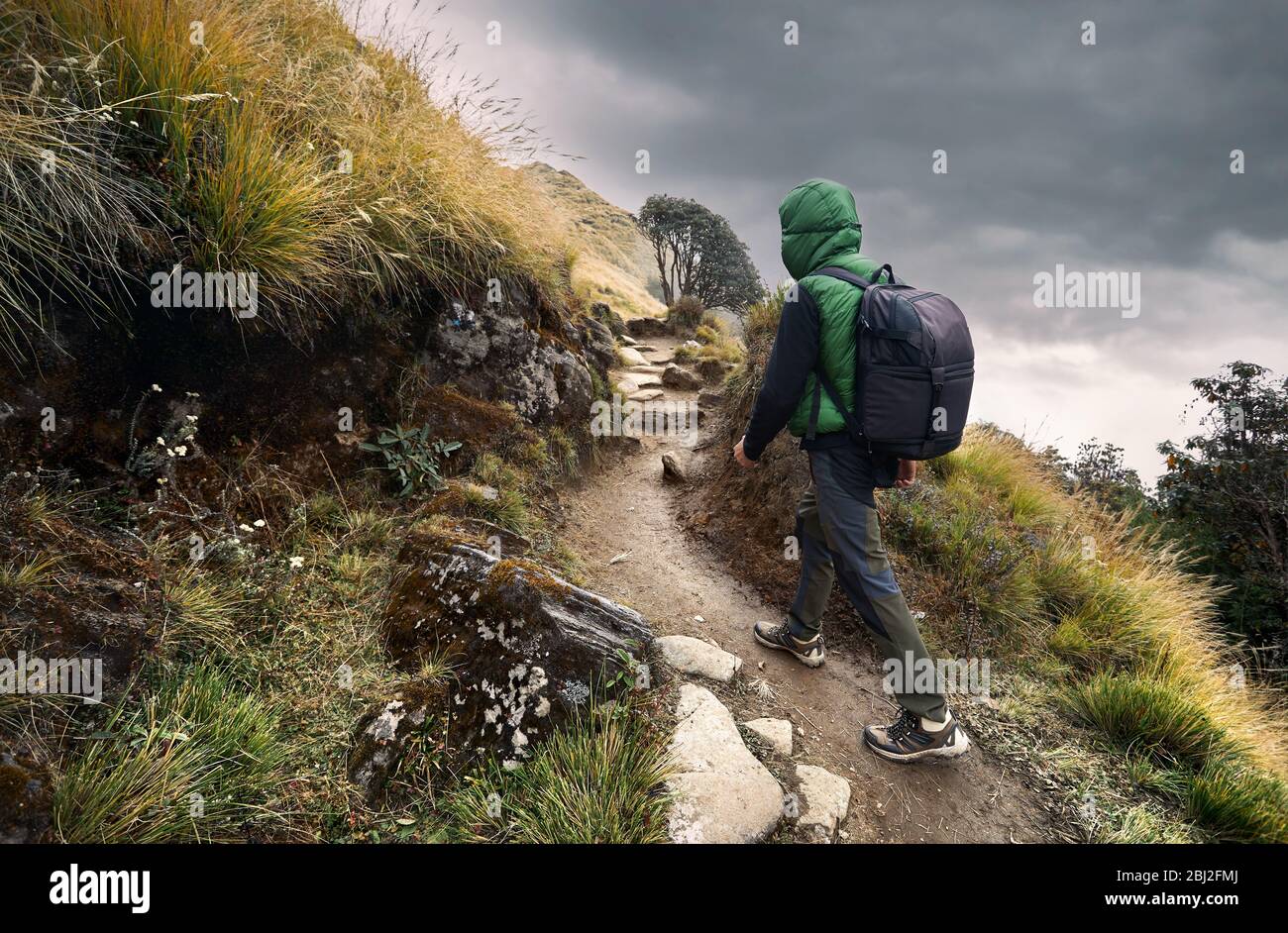 Tourist with backpack enjoying the view of snowy Himalayan Mountain Machapuchare in Nepal Stock Photo