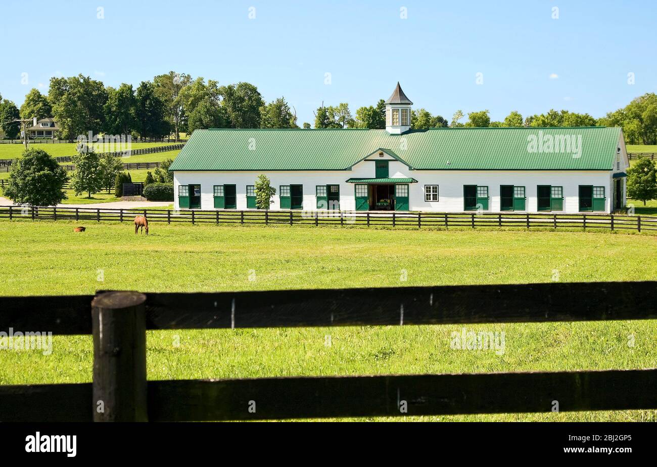 large barn, white, green roof & doors, pasture, horses, black wood ...