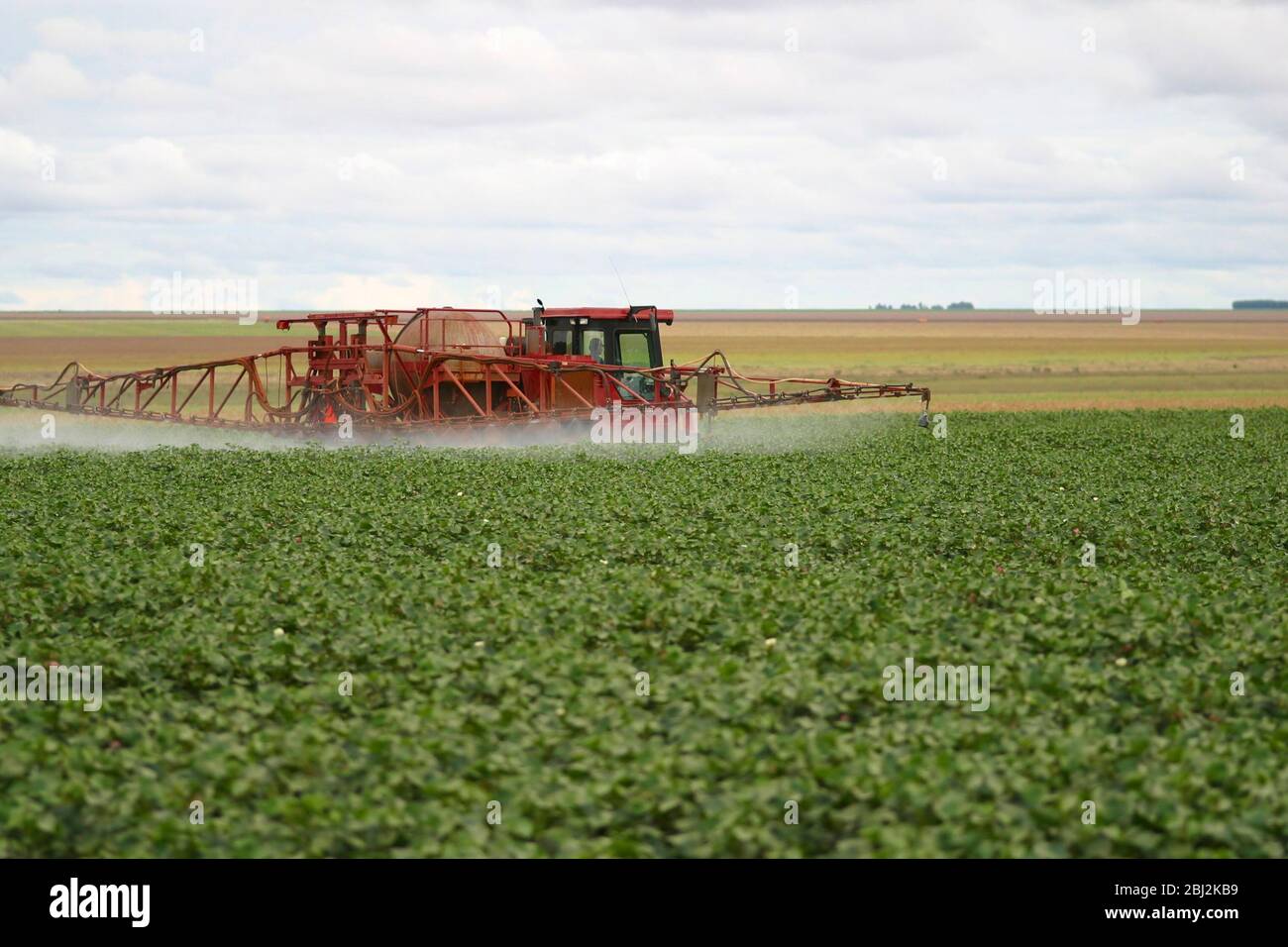 Soy production brazil hi-res stock photography and images - Alamy