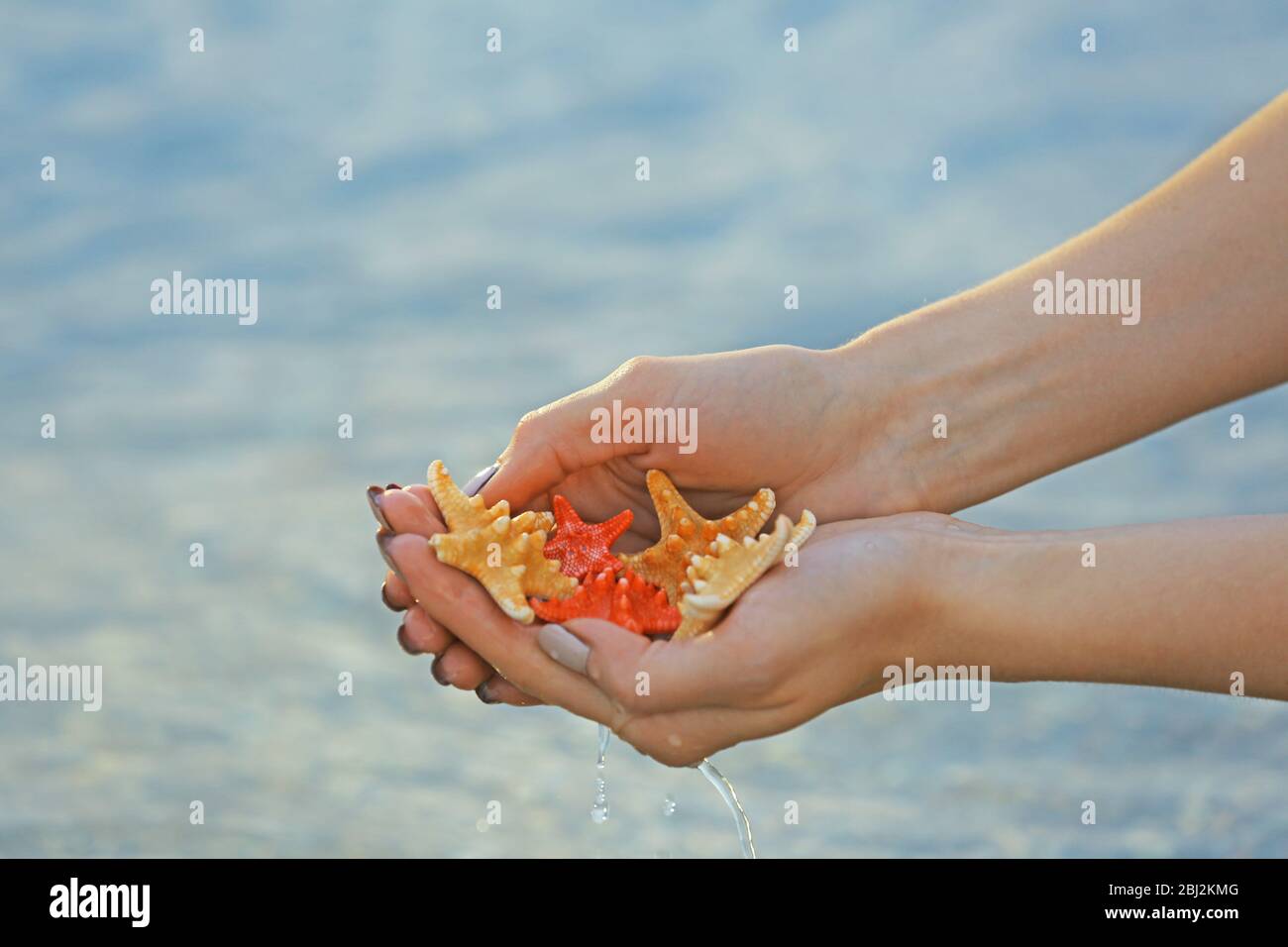 Female hands holding sea stars and touching water Stock Photo