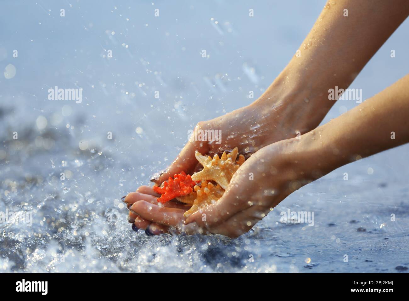 Female hands holding sea stars and touching water Stock Photo