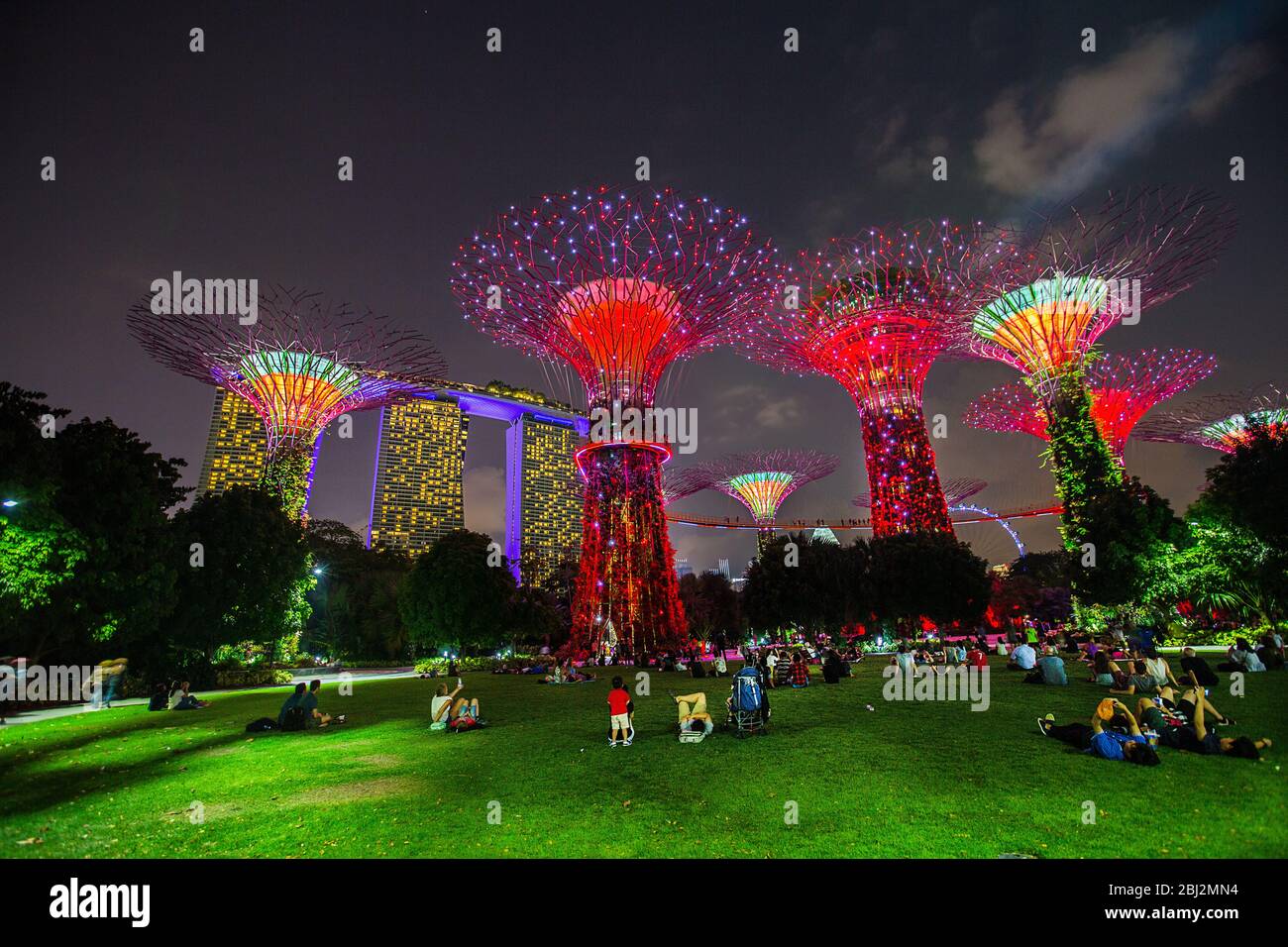 illuminated super tree groves at bay front gardens also known as gardens by the bay at night,bay front,marina bay,singapore,PRADEEP SUBRAMANIAN Stock Photo