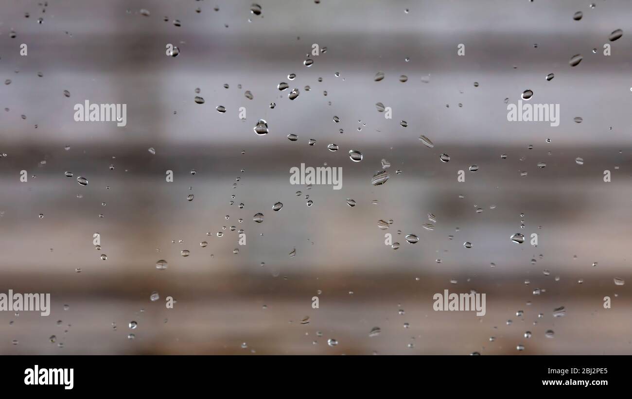 Fresh rain drops on window glass Stock Photo