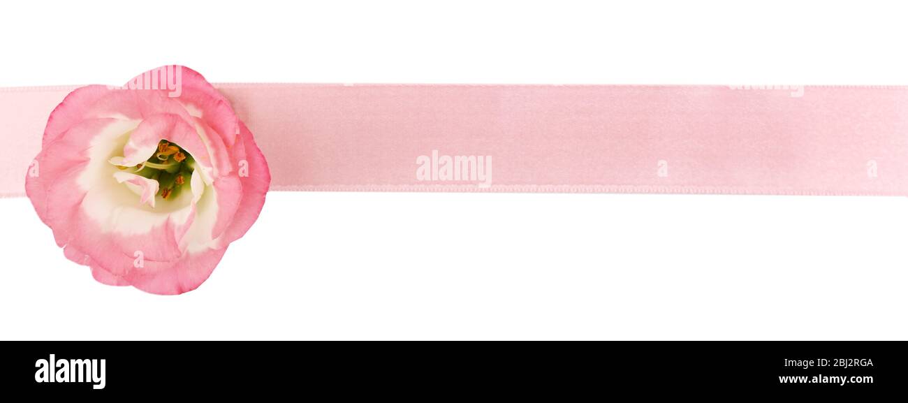 Pink ribbon with flower isolated on white Stock Photo - Alamy