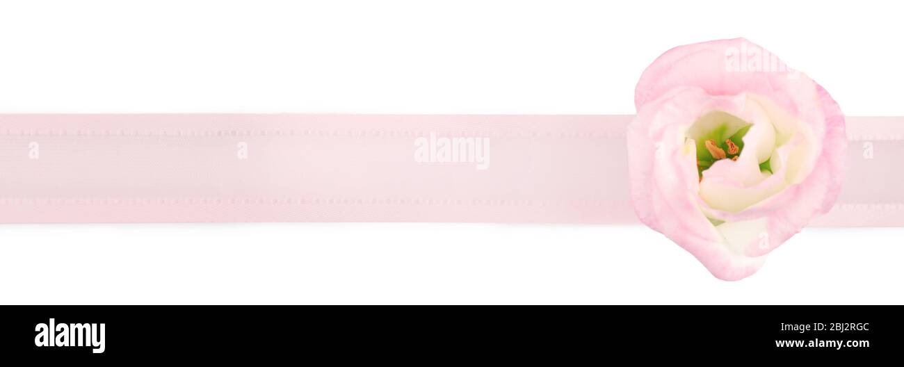 Pink ribbon with flower isolated on white Stock Photo - Alamy