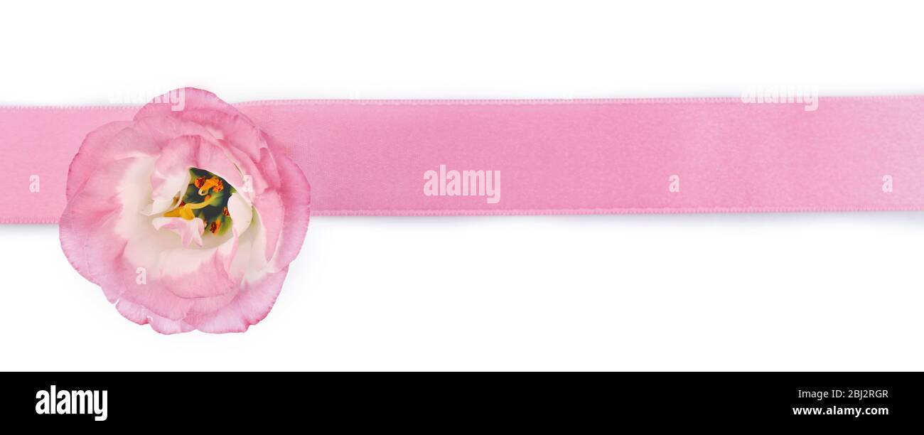 Pink ribbon with flower isolated on white Stock Photo - Alamy