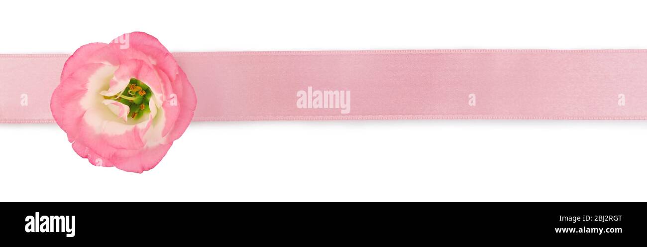 Pink ribbon with flower isolated on white Stock Photo - Alamy