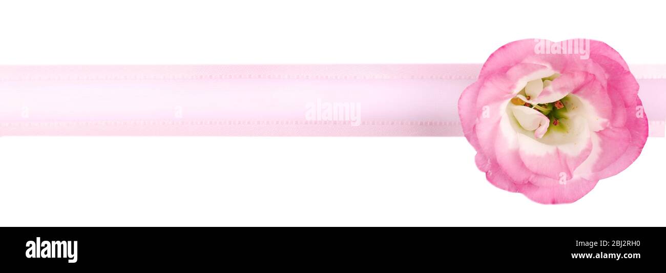 Pink ribbon with flower isolated on white Stock Photo - Alamy