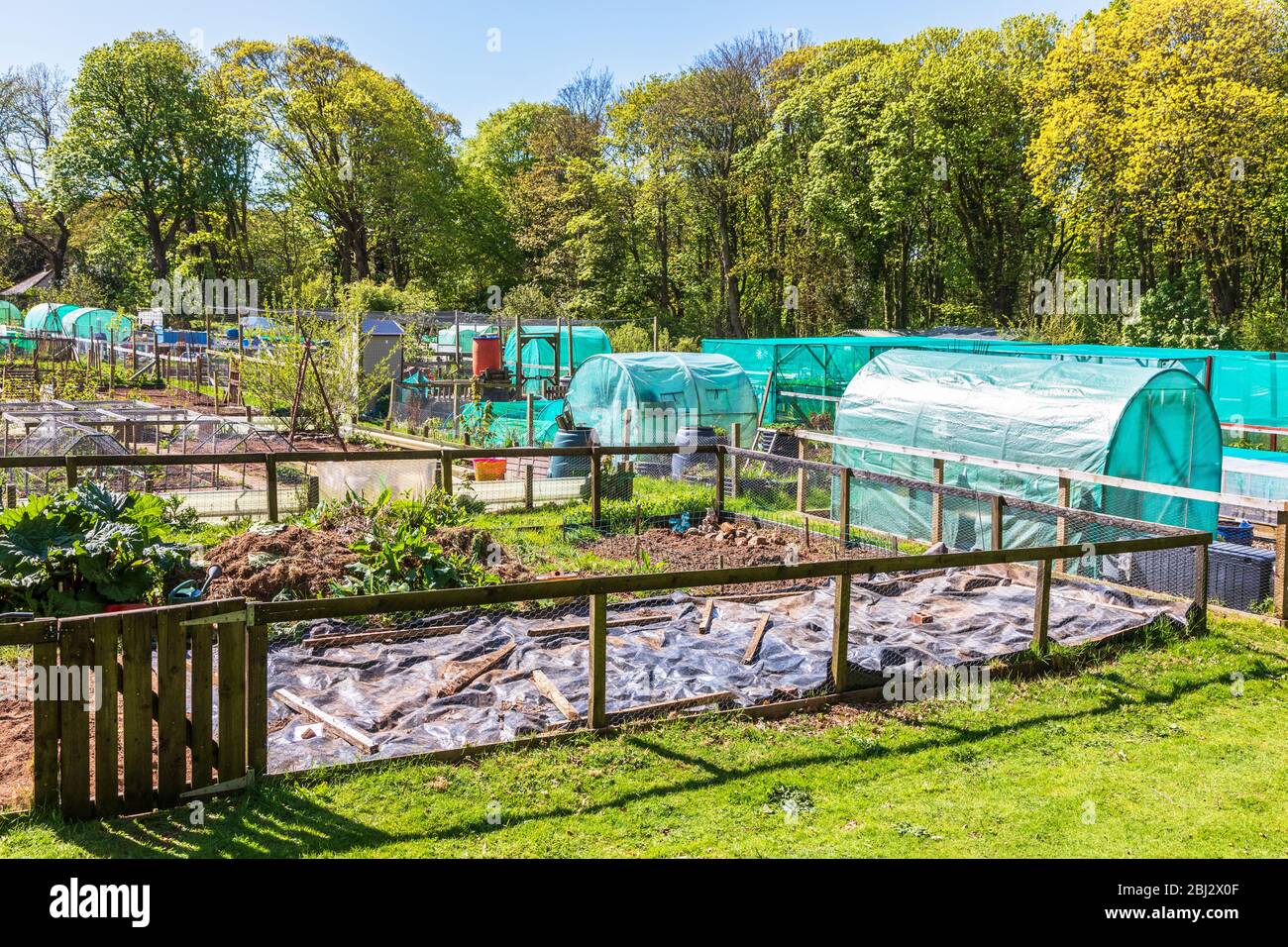 Detail of allotments in Troon allotments society gardens, Troon