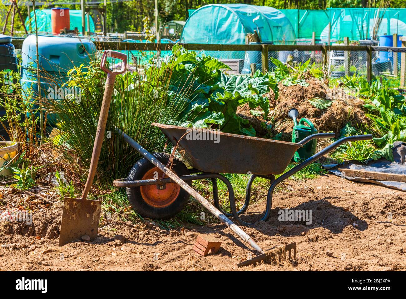 Detail of allotments in Troon allotments society gardens, Troon, Ayrshire, Scotland, UK Stock Photo