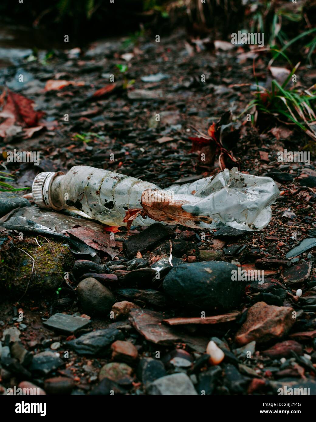 Plastic Pollution in Nature - Images were taken to spread awareness of the environmental crisis in the world. Stock Photo