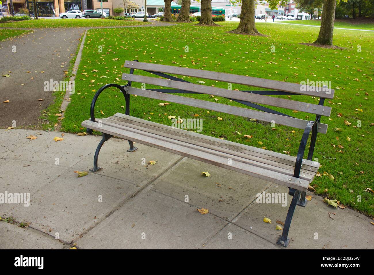 Bench in the park in autumn Stock Photo