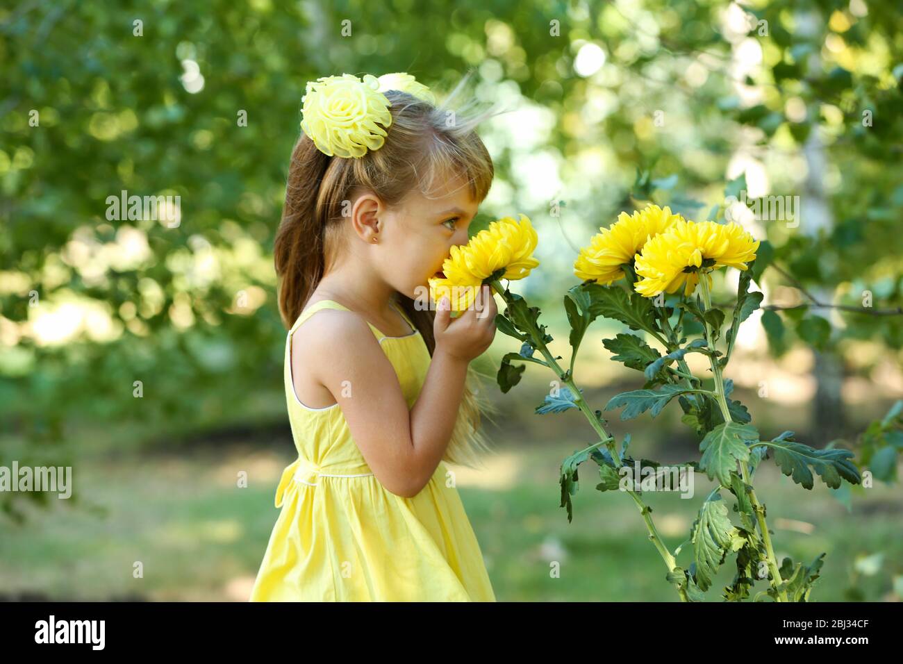 Little girl with flowers outside Stock Photo - Alamy