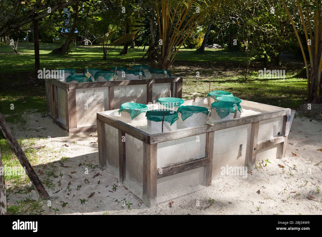 Sea Turtle nesting boxes, New Ireland, Papua New Guinea Stock Photo Alamy