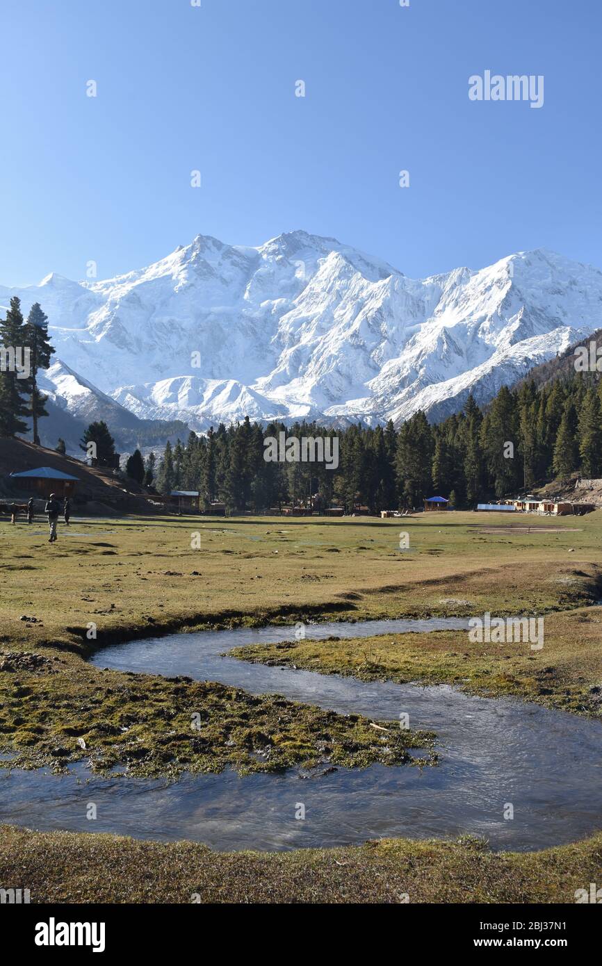 Nanga Parbat towering above verdant wilderness near Fairy meadows, Pakistan. Stock Photo