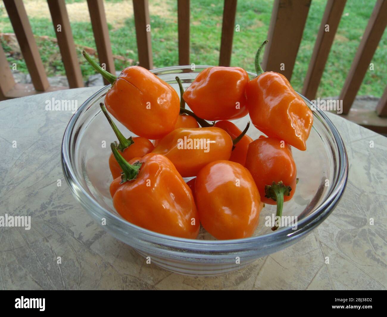 Spicy hot orange ghost peppers in a glass bowl, Asian organic