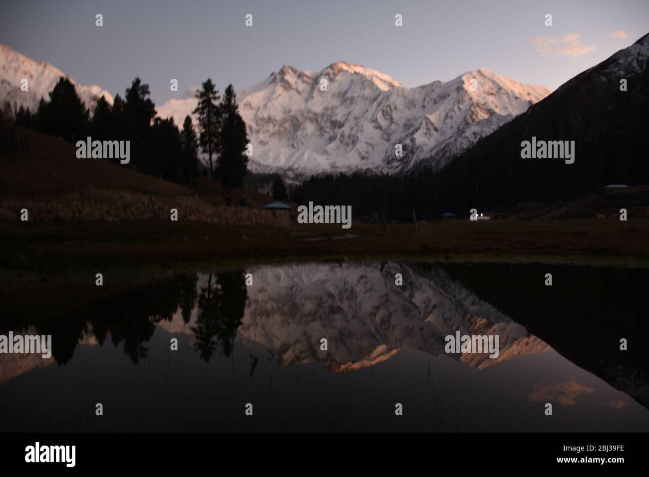 Nanga Parbat towering above verdant wilderness near Fairy meadows, Pakistan. Stock Photo