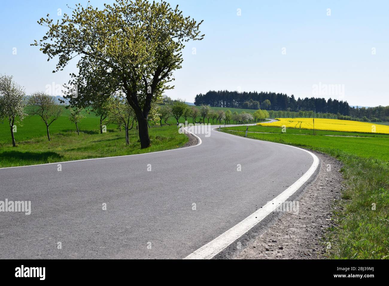 empty road in spring landscape, Eifel Stock Photo
