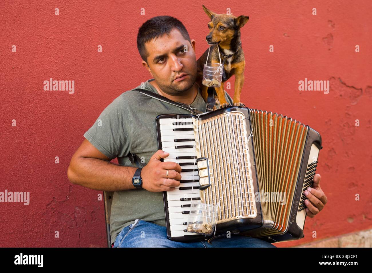 Street music - accordionist playing accordion for tourists with pet dog collecting donations in Alfama District of Lisbon, Portugal Stock Photo