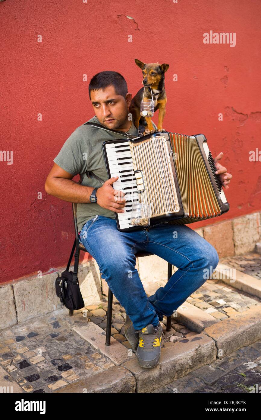 Street music - accordionist playing accordion for tourists with pet dog collecting donations in Alfama District of Lisbon, Portugal Stock Photo