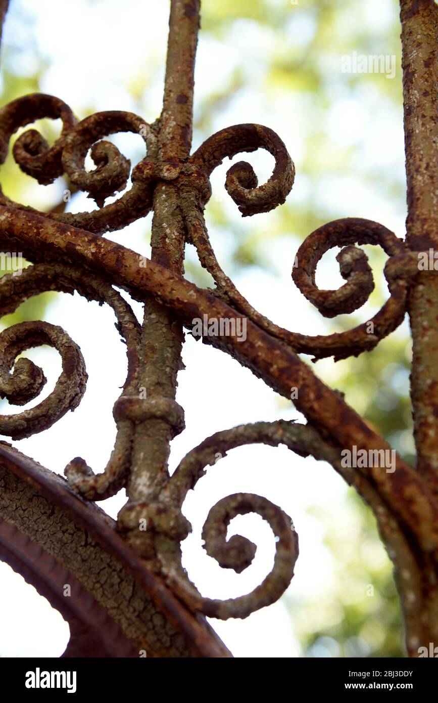 Old rusty forged fence, close up Stock Photo - Alamy