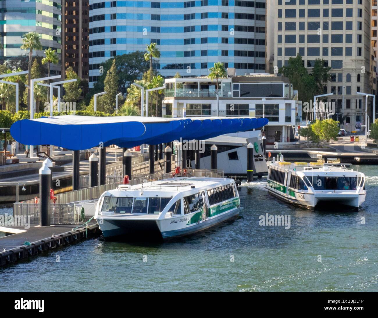 Transperth catamarans in Elizabeth Quay Perth Western Australia Stock