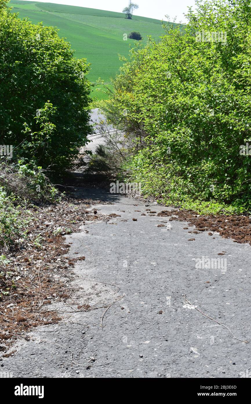 empty road in spring landscape, Eifel Stock Photo