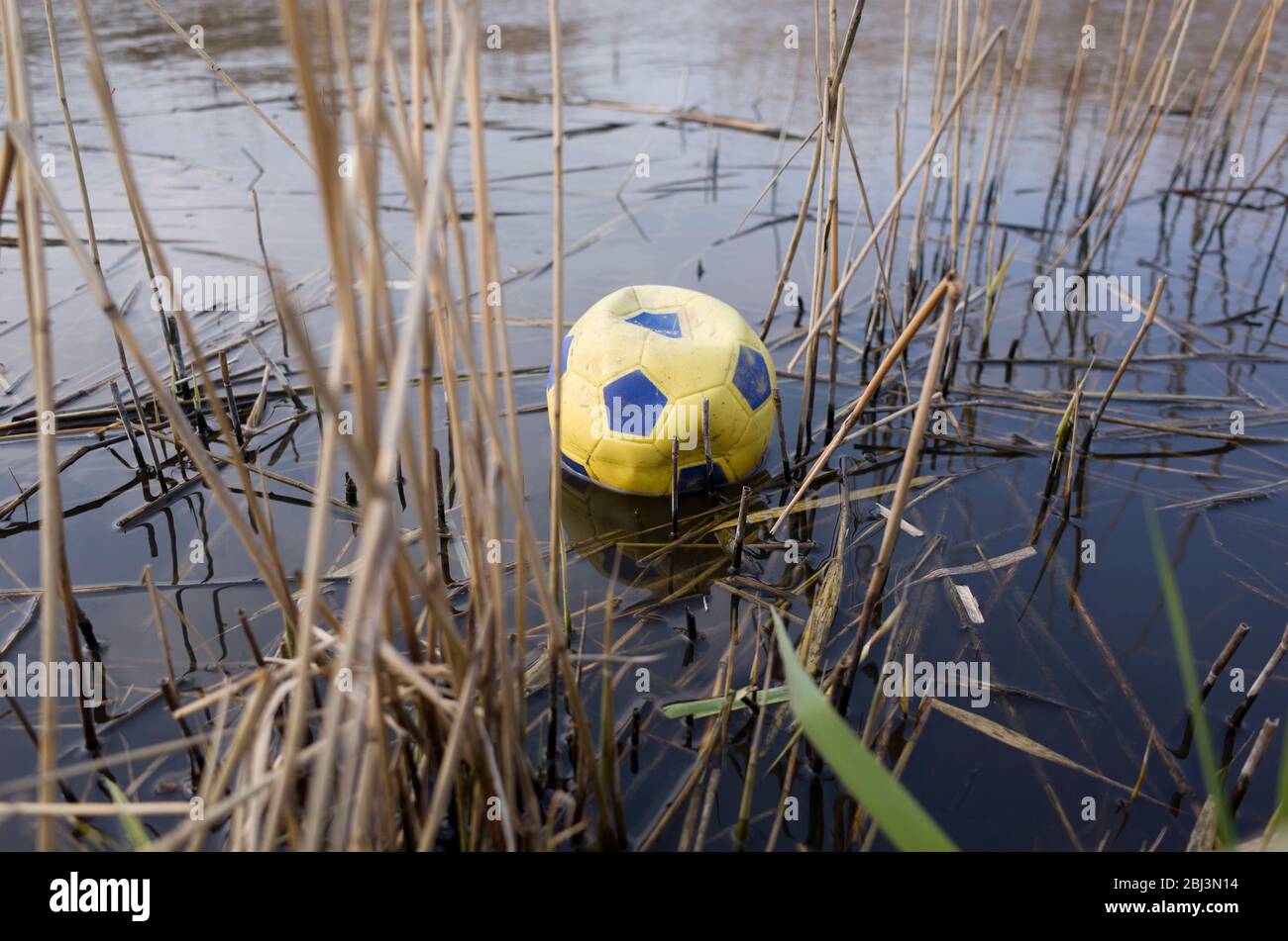 Yellow football found discarded in water surrounded by pondweeds, Kent England. Stock Photo