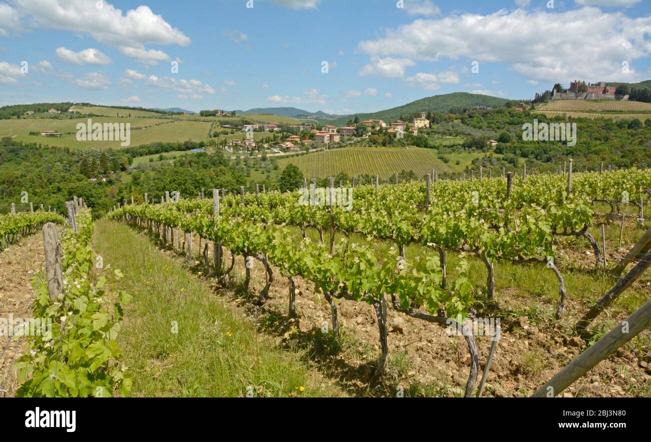 Looking across the vinyards towards the small commune of San Regolo and the Castello di Brolio, Tuscany, Italy Stock Photo