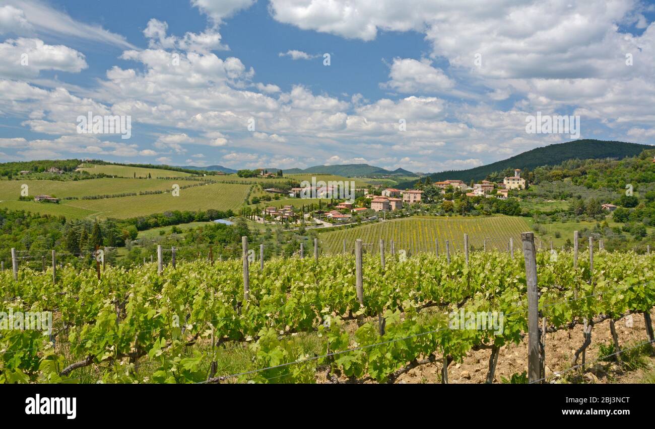 Looking across the vinyards towards the small commune of San Regolo near Brolio in Chianti, Italy Stock Photo
