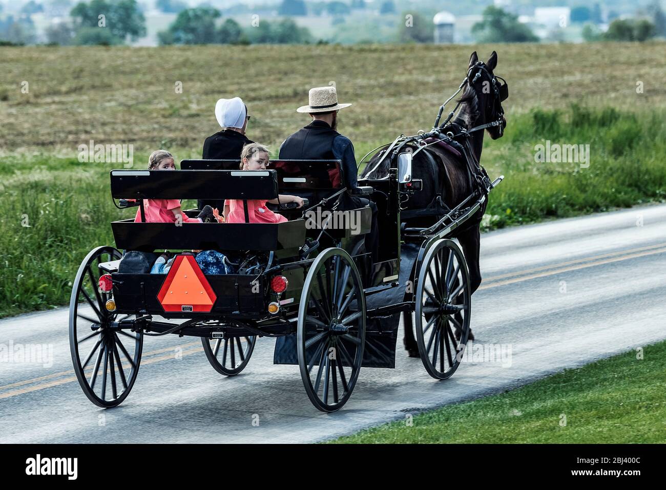 amish carts for sale