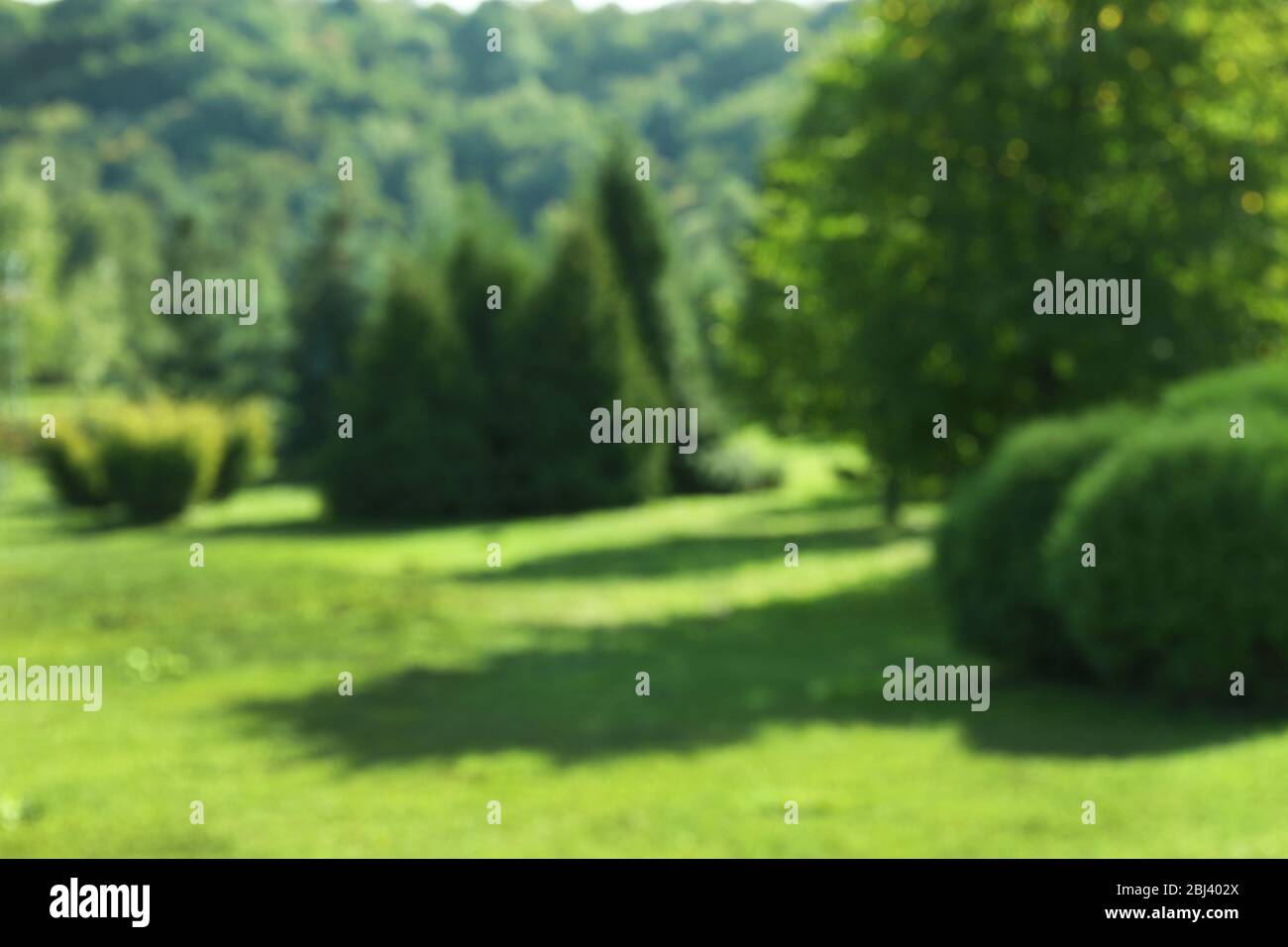 Blurred green city park alley Stock Photo - Alamy