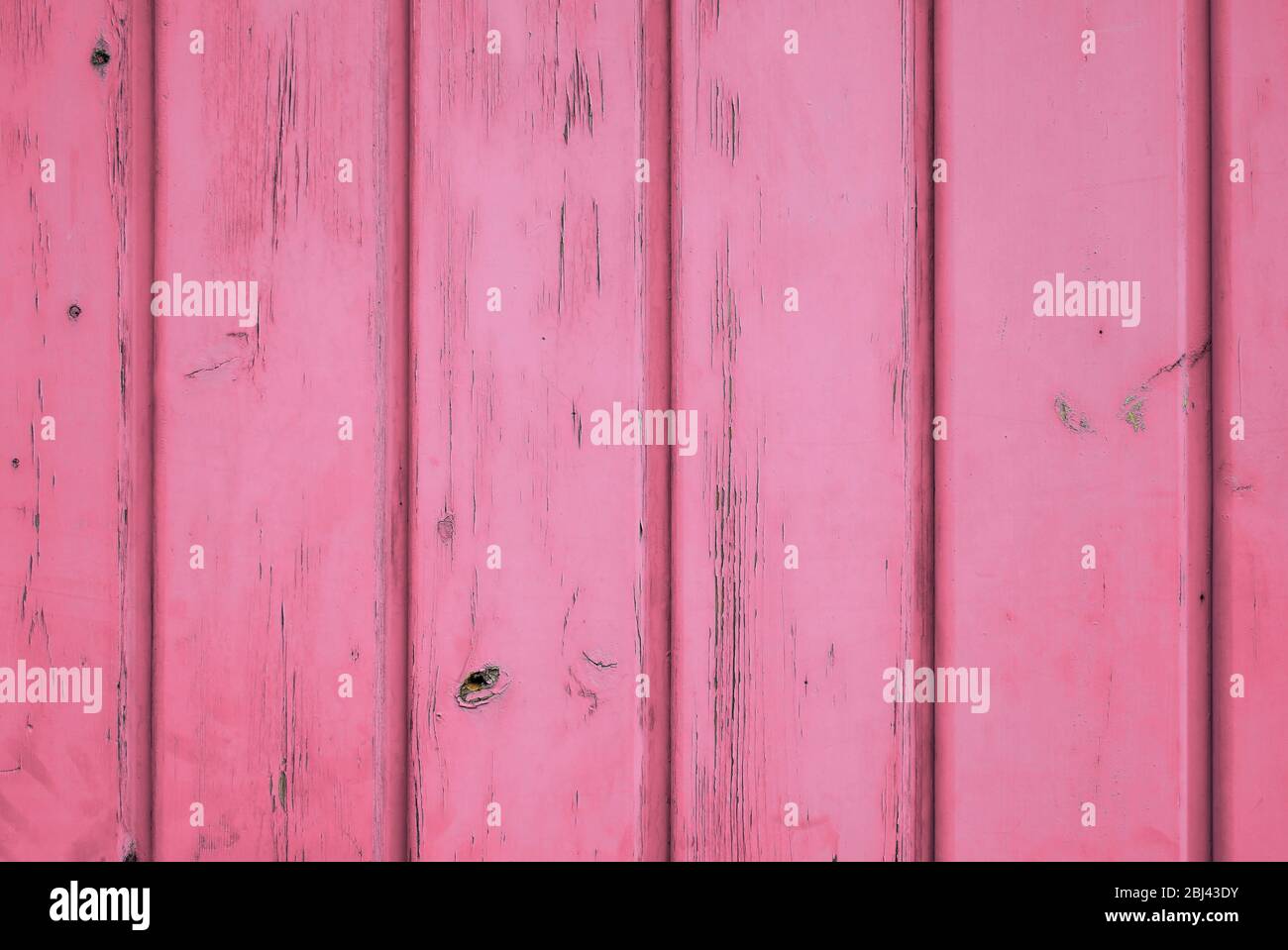 Pink pastel color background of aged wood with vertical planks. Stock Photo
