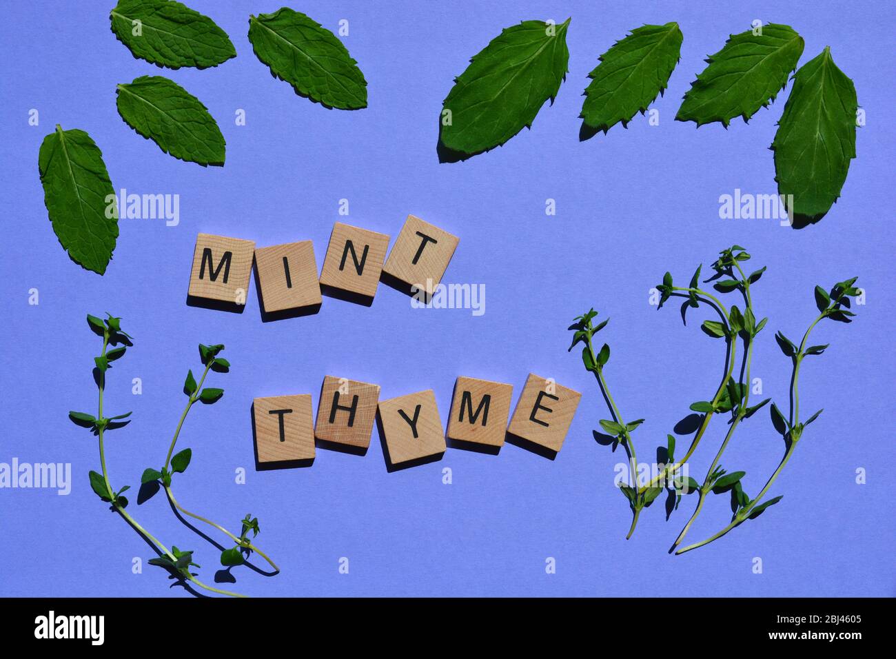 Mint and Thyme words and fresh green leaves Stock Photo - Alamy