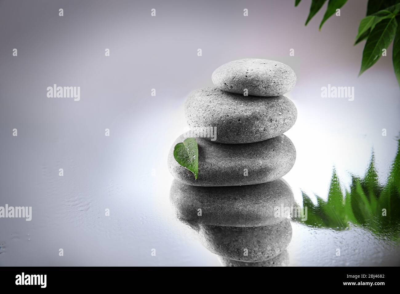 Spa stones and green branch on grey background Stock Photo - Alamy