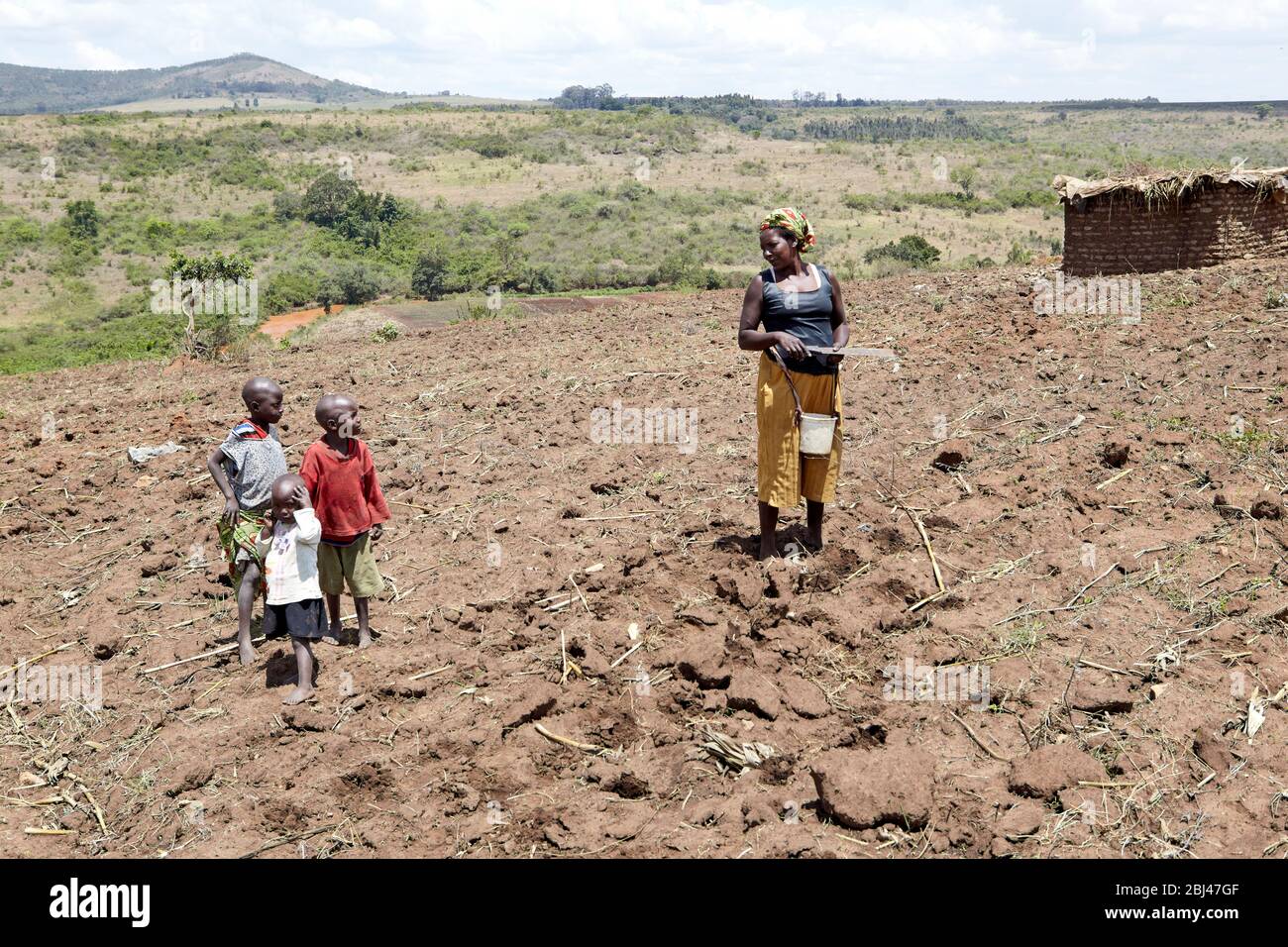 Women working in the fields of Mungetho, north of Naurobi, where Elisabeth M. Gitao's 'Pure Water Flow' water filtration project was set up. Stock Photo