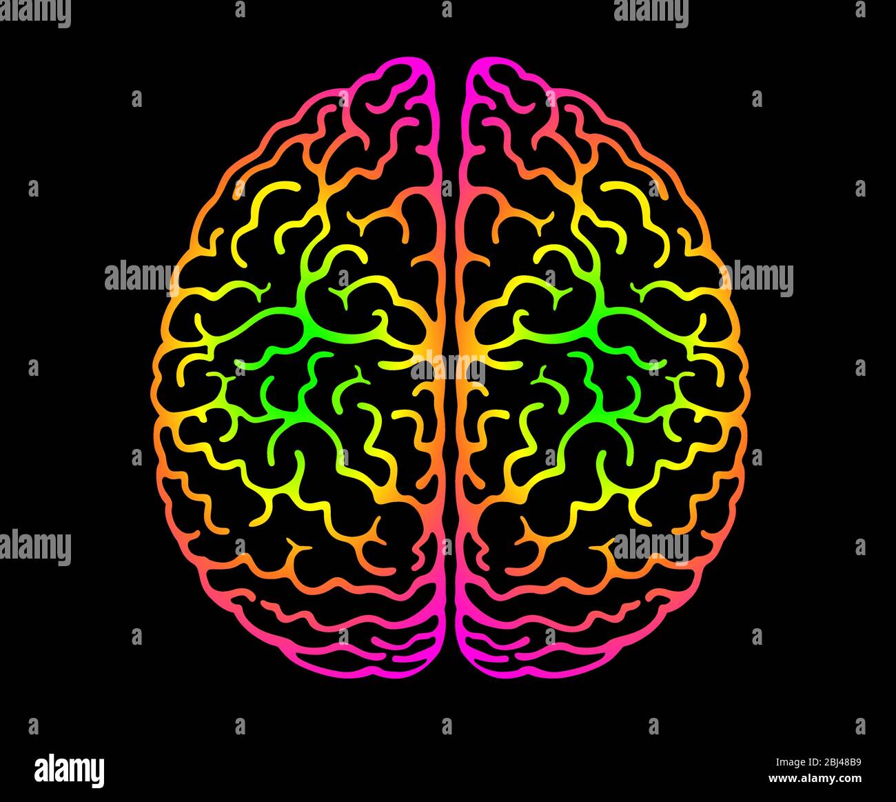 Human Brain. Bright Colors Black Background. Cerebral Hemispheres, Convolutions Of The Mind Brain, Brain's Bends. View From Above, Front View, Realist Stock Vector